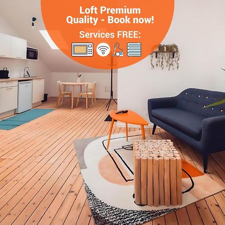 Loft Lumineux Tres Spacieux - Parking Gratuit Châteauroux 외부 사진